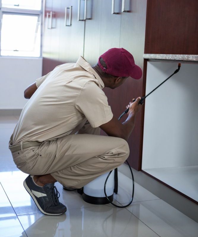 29671 1 1 e1753894598194.jpg